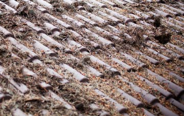 Ningwood roof cleaning companies